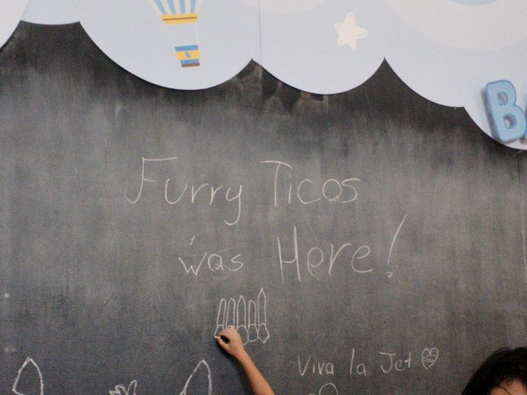 Meet Zootopia 2 Furry Fandom Costa Rica. Furry Ticos was here